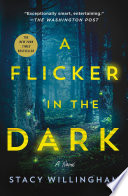 A Flicker in the Dark
